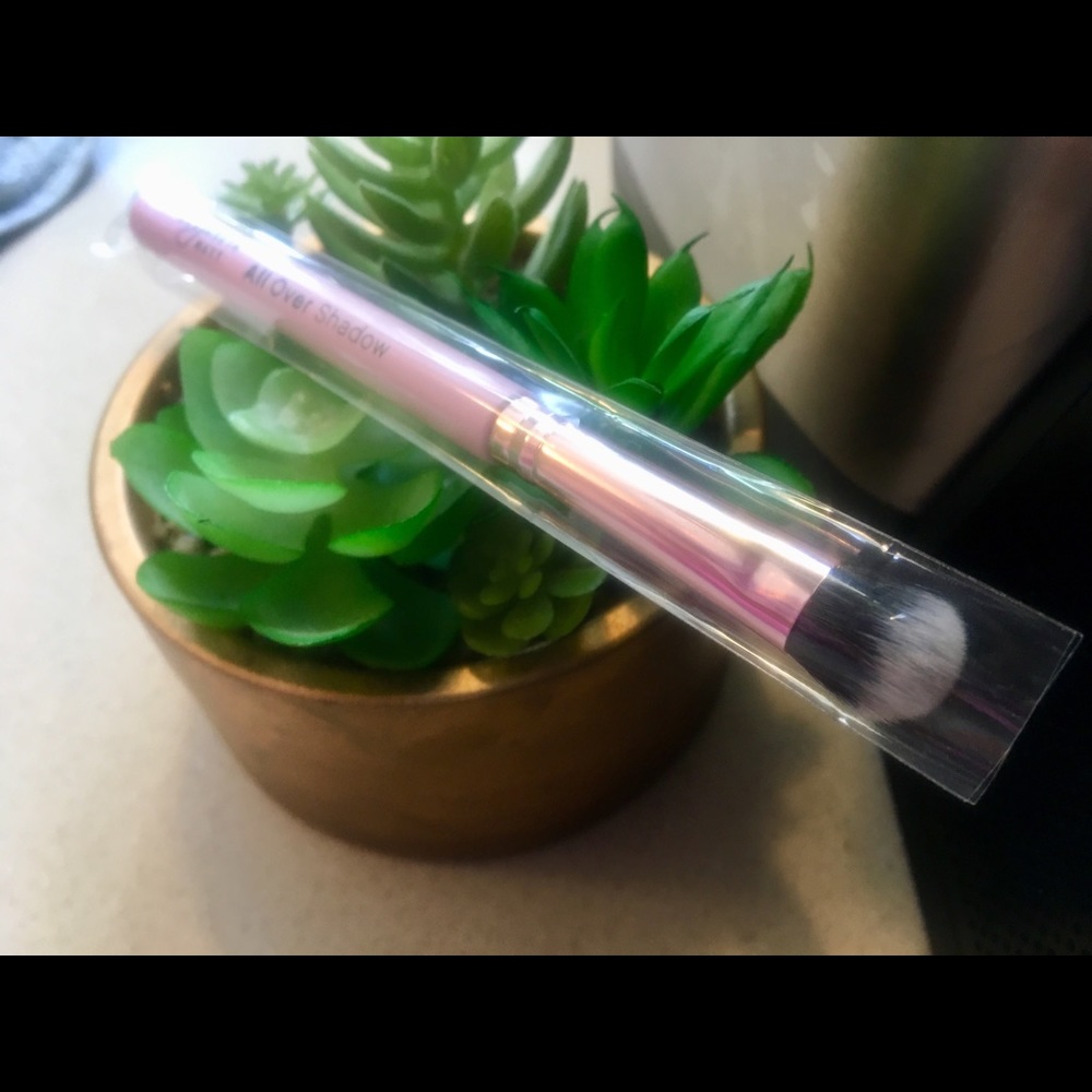 Elizabeth Mott All Over Shadow Brush